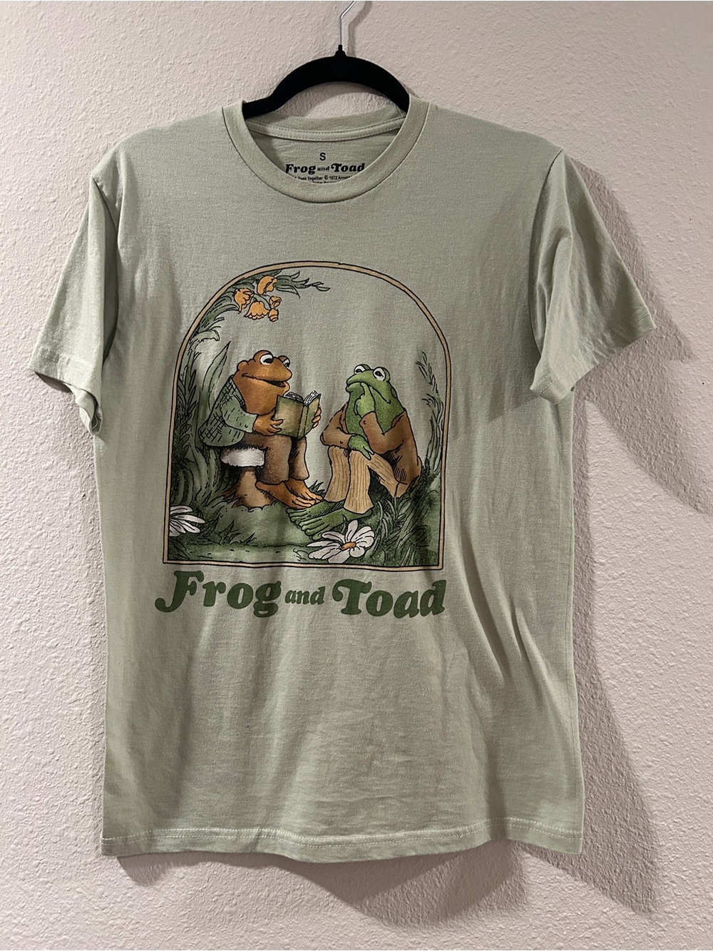 Frog and Toad Graphic Tee - Light Sage Green